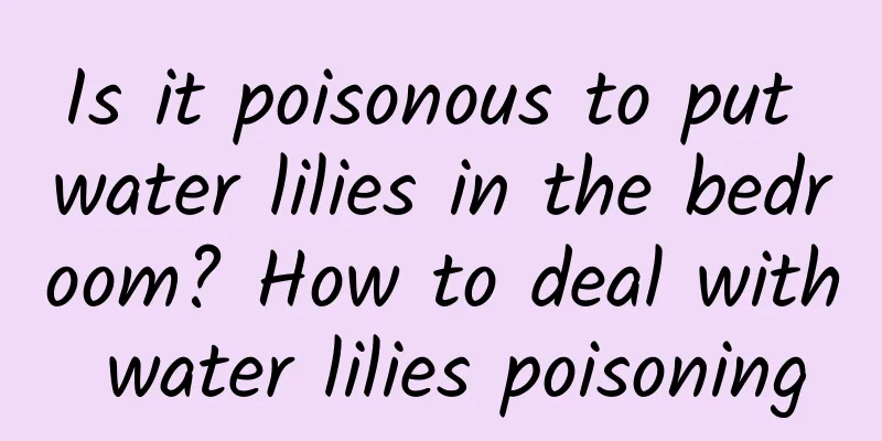 Is it poisonous to put water lilies in the bedroom? How to deal with water lilies poisoning