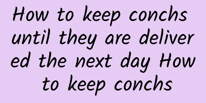 How to keep conchs until they are delivered the next day How to keep conchs