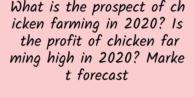 What is the prospect of chicken farming in 2020? Is the profit of chicken farming high in 2020? Market forecast