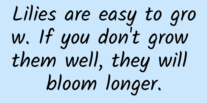 Lilies are easy to grow. If you don't grow them well, they will bloom longer.