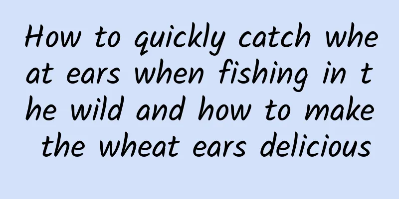 How to quickly catch wheat ears when fishing in the wild and how to make the wheat ears delicious