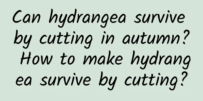 Can hydrangea survive by cutting in autumn? How to make hydrangea survive by cutting?