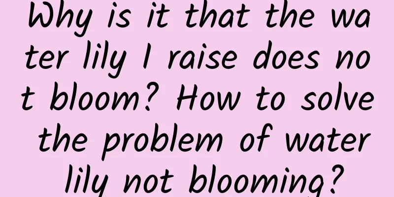 Why is it that the water lily I raise does not bloom? How to solve the problem of water lily not blooming?