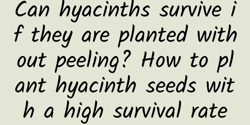 Can hyacinths survive if they are planted without peeling? How to plant hyacinth seeds with a high survival rate