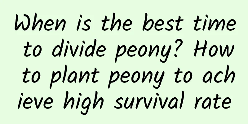 When is the best time to divide peony? How to plant peony to achieve high survival rate