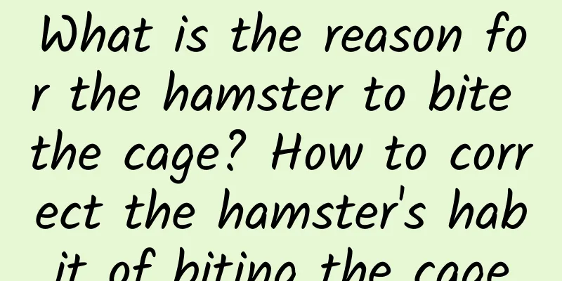 What is the reason for the hamster to bite the cage? How to correct the hamster's habit of biting the cage