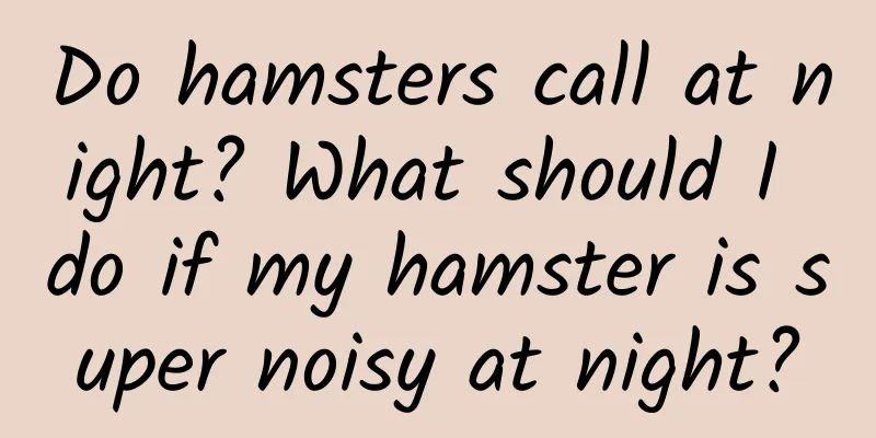Do hamsters call at night? What should I do if my hamster is super noisy at night?