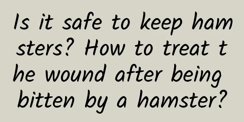 Is it safe to keep hamsters? How to treat the wound after being bitten by a hamster?