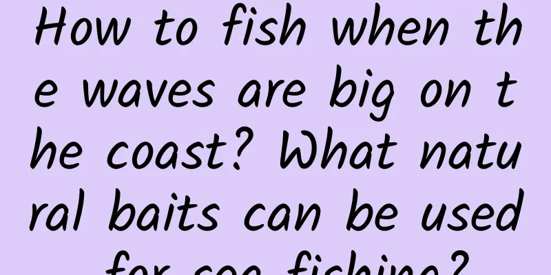 How to fish when the waves are big on the coast? What natural baits can be used for sea fishing?