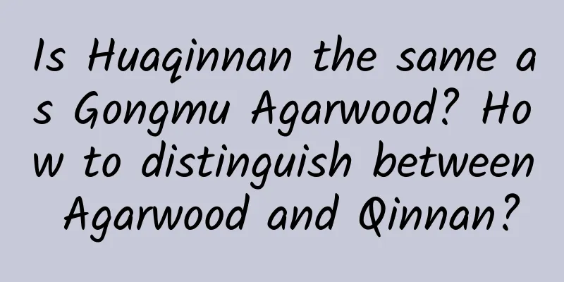 Is Huaqinnan the same as Gongmu Agarwood? How to distinguish between Agarwood and Qinnan?