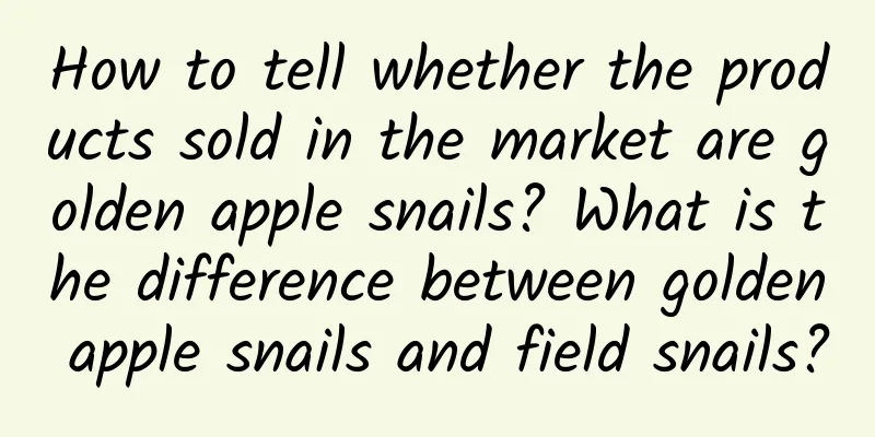 How to tell whether the products sold in the market are golden apple snails? What is the difference between golden apple snails and field snails?