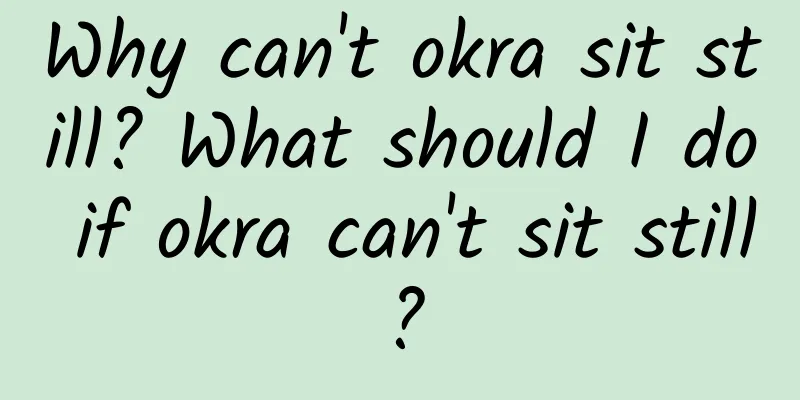 Why can't okra sit still? What should I do if okra can't sit still?