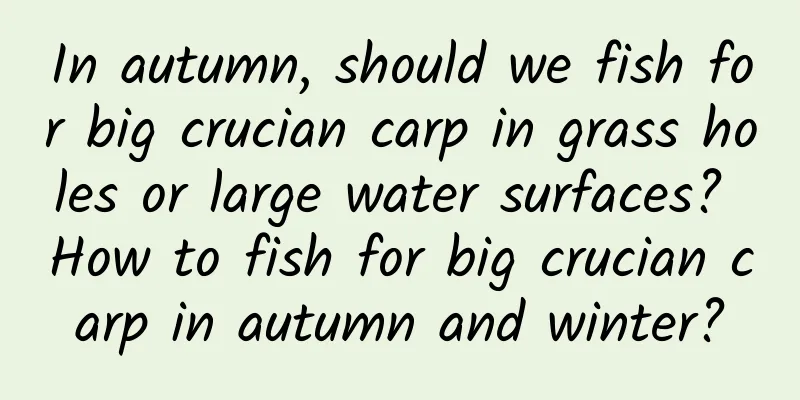 In autumn, should we fish for big crucian carp in grass holes or large water surfaces? How to fish for big crucian carp in autumn and winter?