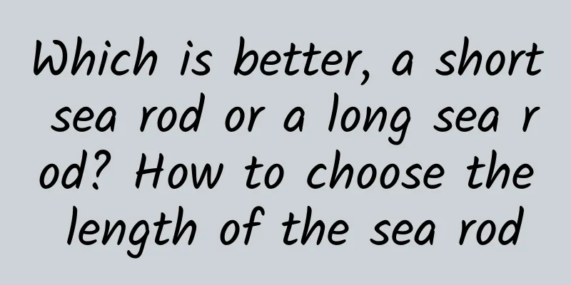 Which is better, a short sea rod or a long sea rod? How to choose the length of the sea rod