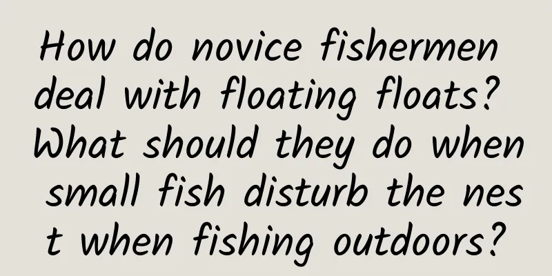How do novice fishermen deal with floating floats? What should they do when small fish disturb the nest when fishing outdoors?