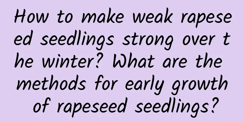 How to make weak rapeseed seedlings strong over the winter? What are the methods for early growth of rapeseed seedlings?