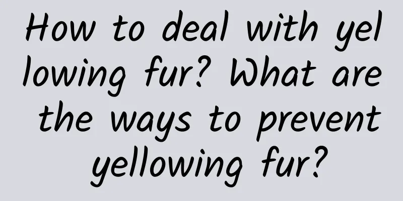 How to deal with yellowing fur? What are the ways to prevent yellowing fur?