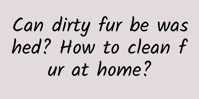 Can dirty fur be washed? How to clean fur at home?