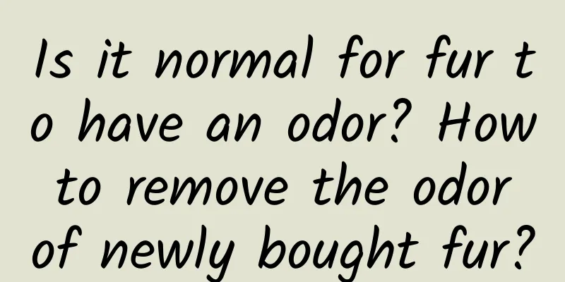 Is it normal for fur to have an odor? How to remove the odor of newly bought fur?