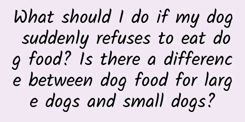 What should I do if my dog ​​suddenly refuses to eat dog food? Is there a difference between dog food for large dogs and small dogs?