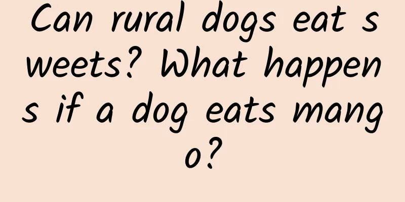 Can rural dogs eat sweets? What happens if a dog eats mango?