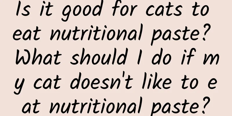 Is it good for cats to eat nutritional paste? What should I do if my cat doesn't like to eat nutritional paste?