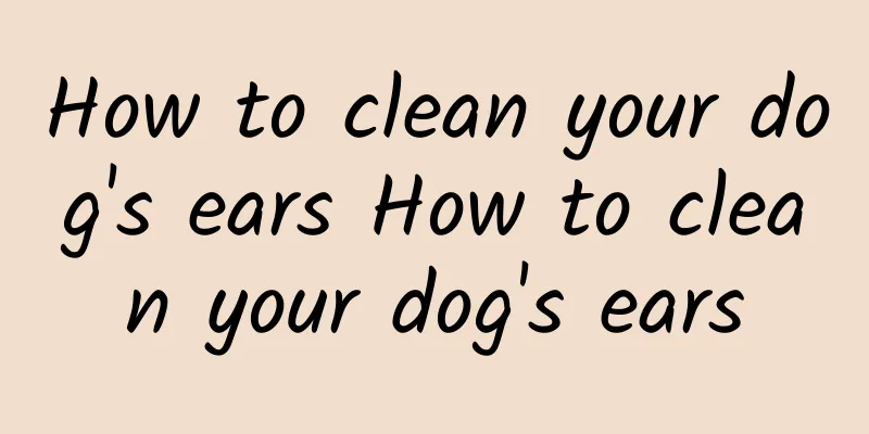 How to clean your dog's ears How to clean your dog's ears