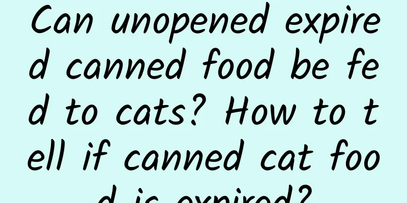 Can unopened expired canned food be fed to cats? How to tell if canned cat food is expired?