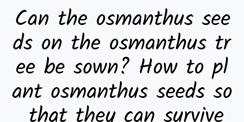 Can the osmanthus seeds on the osmanthus tree be sown? How to plant osmanthus seeds so that they can survive