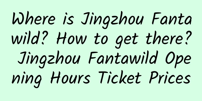 Where is Jingzhou Fantawild? How to get there? Jingzhou Fantawild Opening Hours Ticket Prices