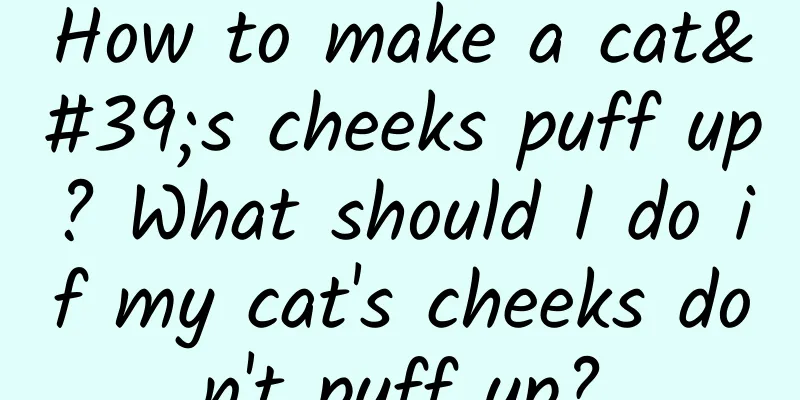 How to make a cat's cheeks puff up? What should I do if my cat's cheeks don't puff up?