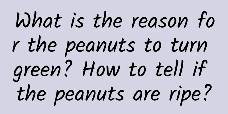 What is the reason for the peanuts to turn green? How to tell if the peanuts are ripe?