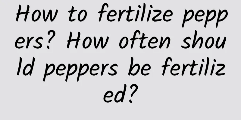 How to fertilize peppers? How often should peppers be fertilized?