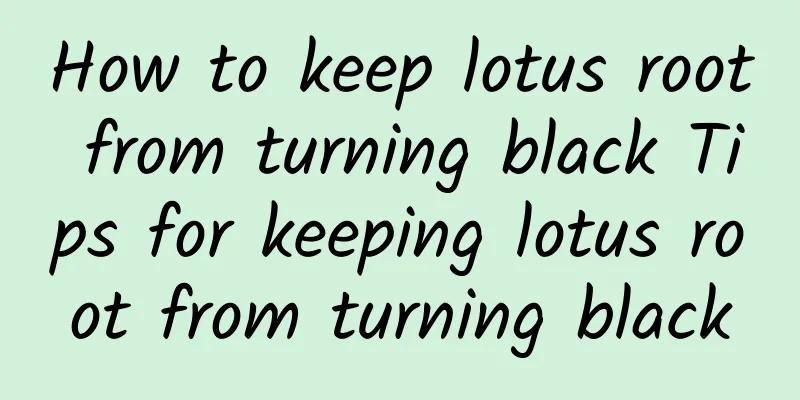 How to keep lotus root from turning black Tips for keeping lotus root from turning black