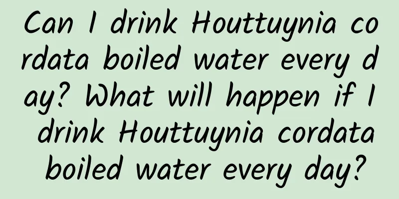 Can I drink Houttuynia cordata boiled water every day? What will happen if I drink Houttuynia cordata boiled water every day?