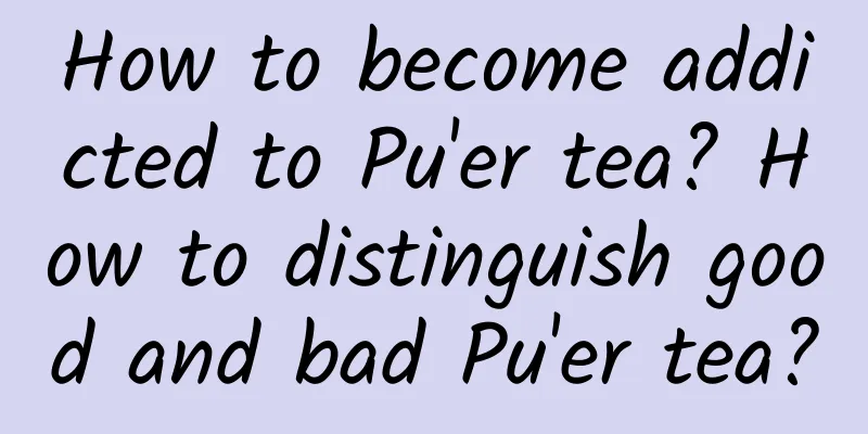 How to become addicted to Pu'er tea? How to distinguish good and bad Pu'er tea?