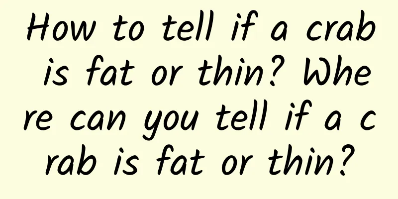 How to tell if a crab is fat or thin? Where can you tell if a crab is fat or thin?
