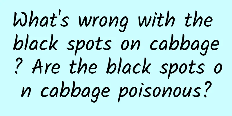 What's wrong with the black spots on cabbage? Are the black spots on cabbage poisonous?
