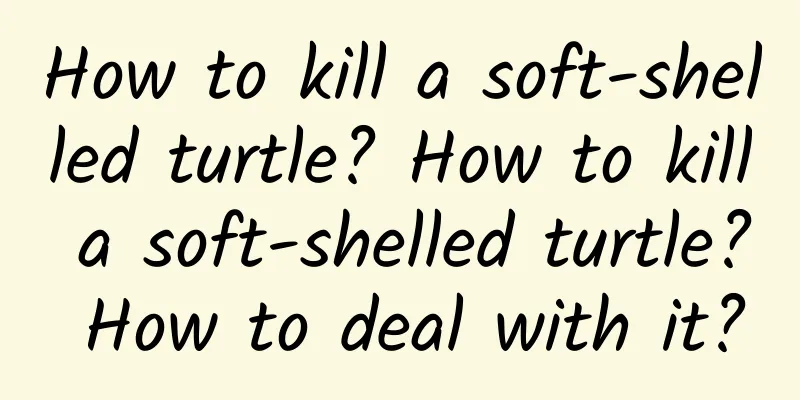 How to kill a soft-shelled turtle? How to kill a soft-shelled turtle? How to deal with it?